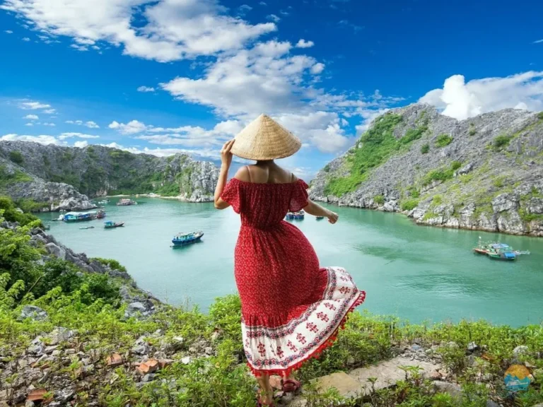 Check in cảnh đẹp vịnh Lan Hạ